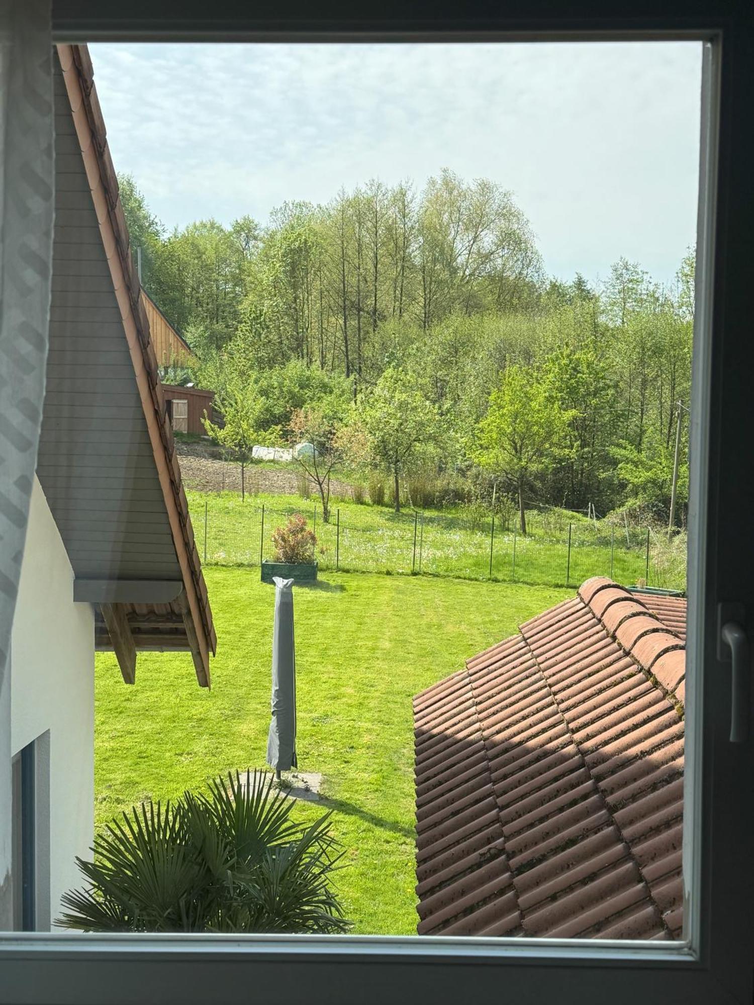 Urlaub Im Naturschutzgebiet Detmold Ngoại thất bức ảnh
